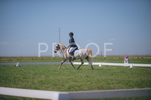 JJS_2601