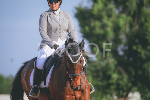 RWP_3662