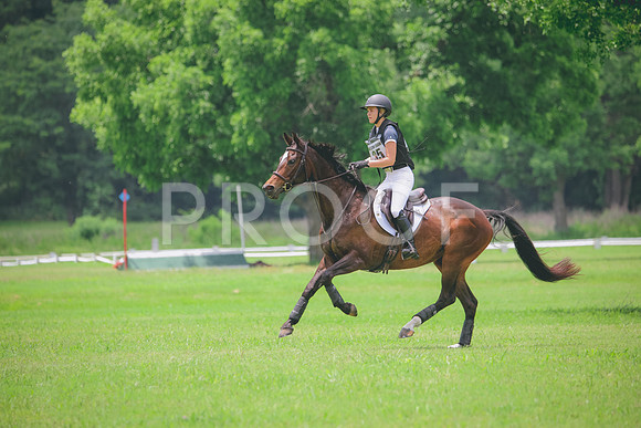 RWP_2648