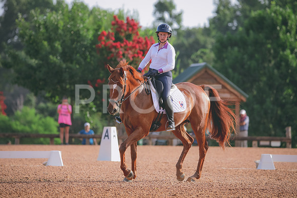 RWP_4274