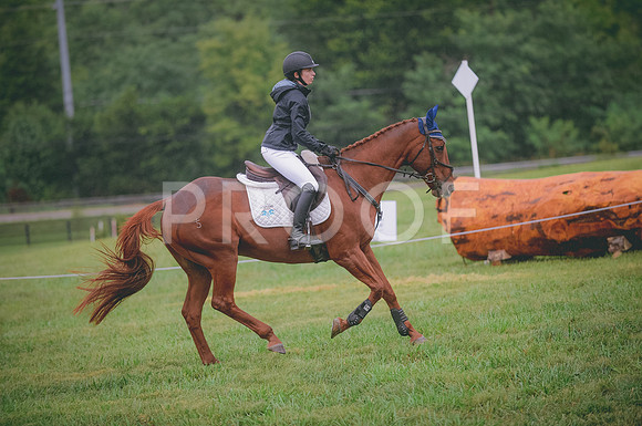 JJS_0334