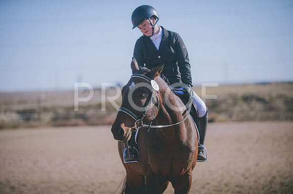 JJS_1829A