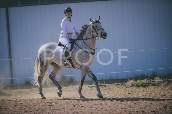 JJS_2596