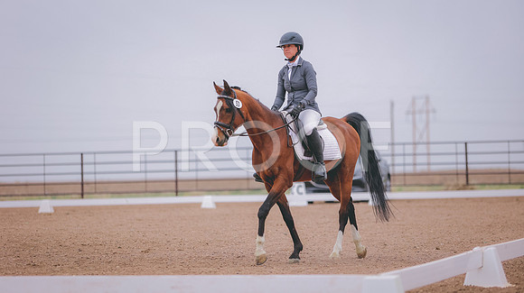0N0A0674