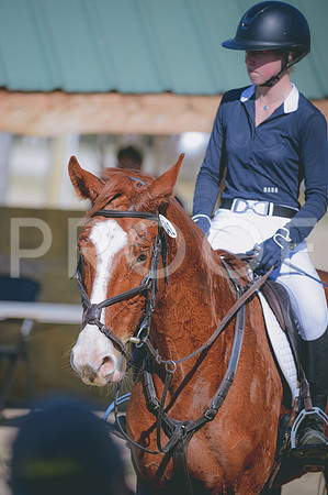 JJS_7532