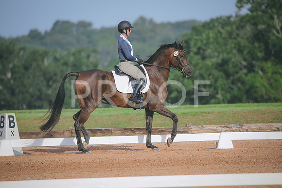 RWP_4392