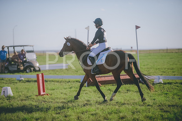 JJS_3358