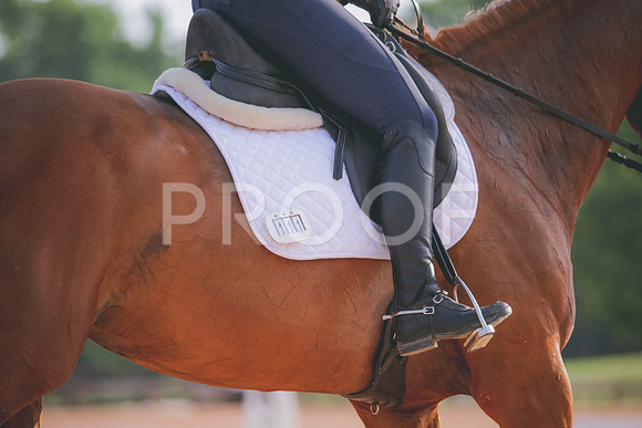 RWP_4285