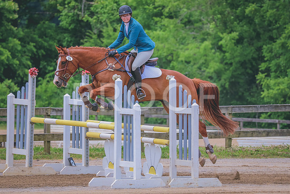 1L8A8401