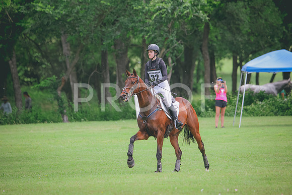 RWP_2387