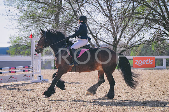 CRB_5019