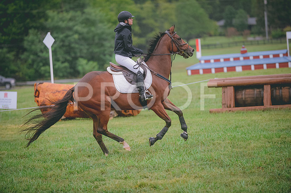 JJS_0431