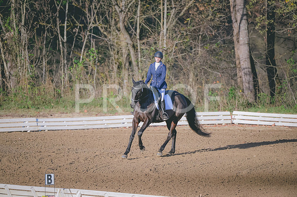 JJS_3832