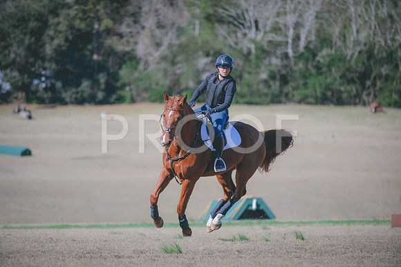 JJS_0266