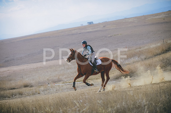 JJS_1811