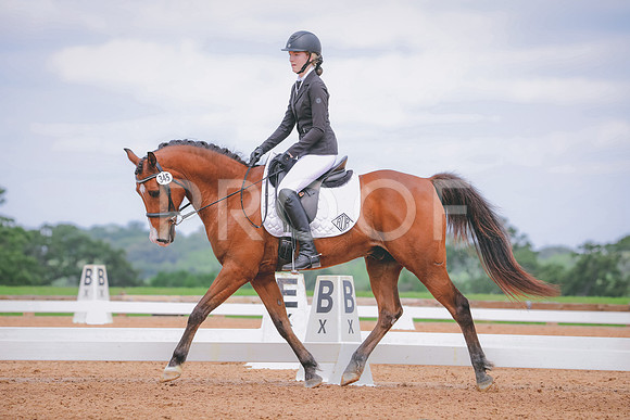 RWP_4243