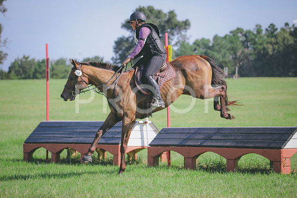 RWP_6337