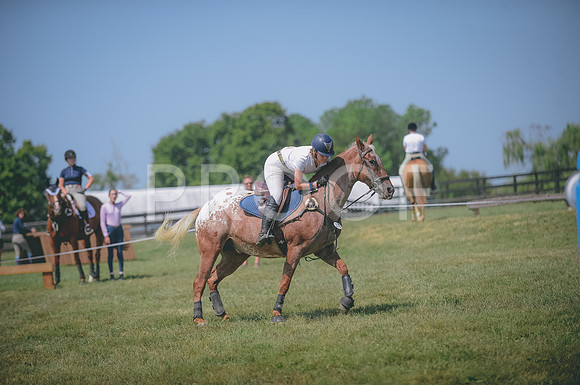 JJS_2019