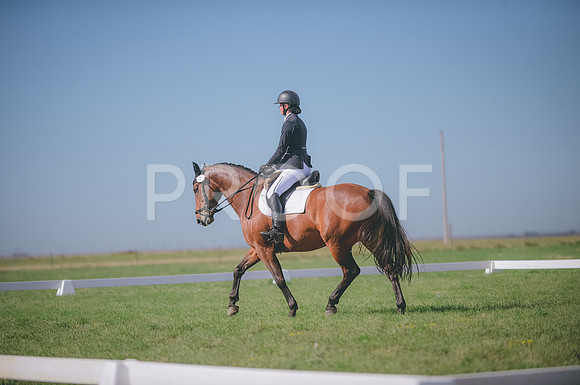 JJS_8584