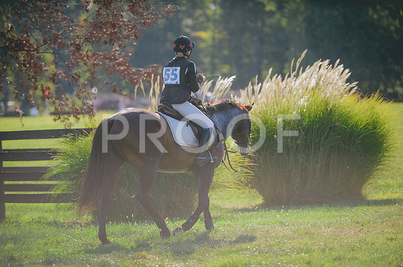 JJS_2019