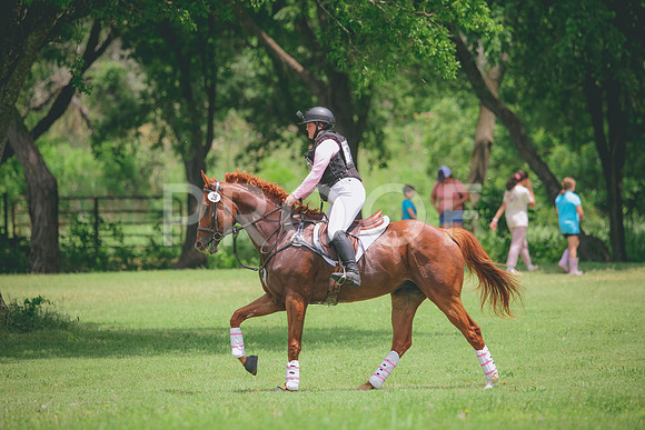 RWP_2267