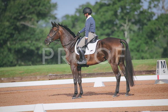 RWP_4410