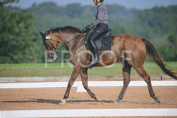 RWP_4516