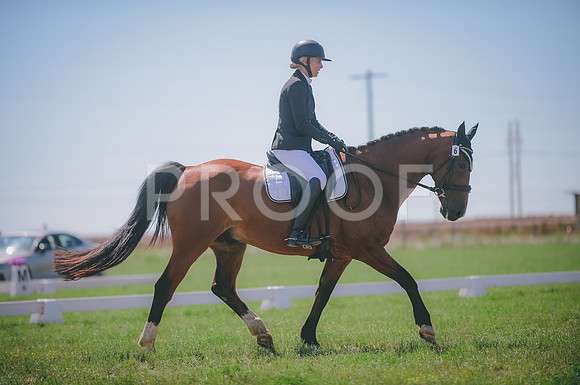 JJS_4295