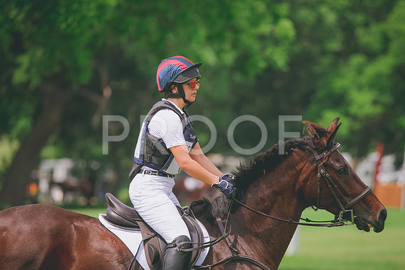 RWP_1167