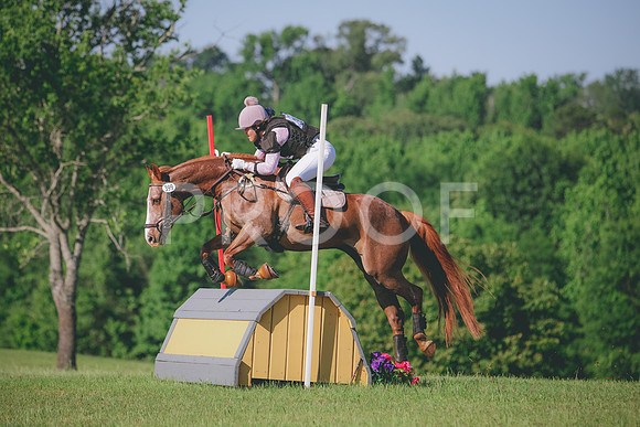 RWP_2903