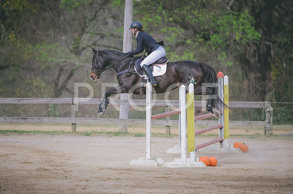 JJS_0586