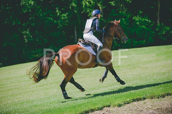 JJS_3535