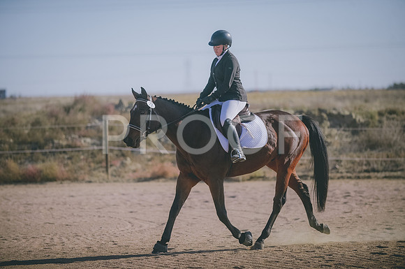 JJS_1158
