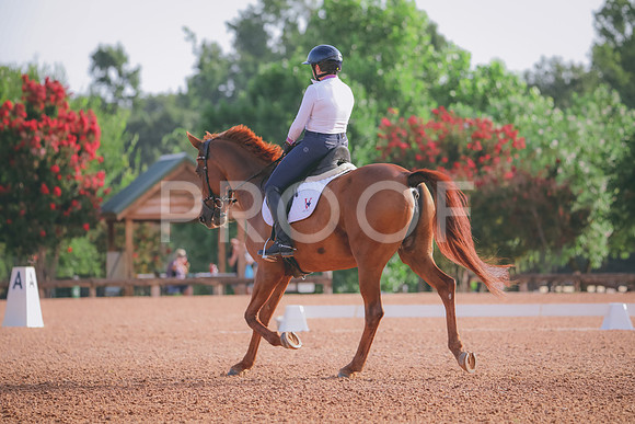 RWP_4292