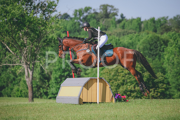 RWP_3462