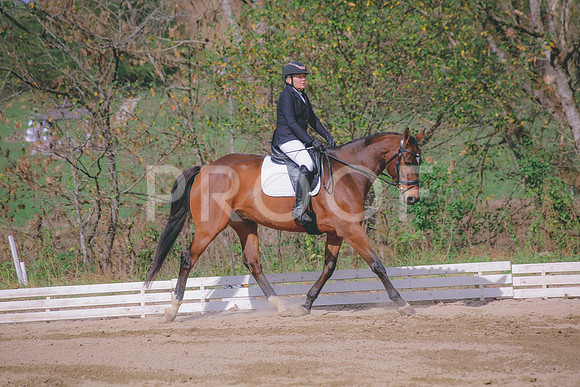 IMG_8343