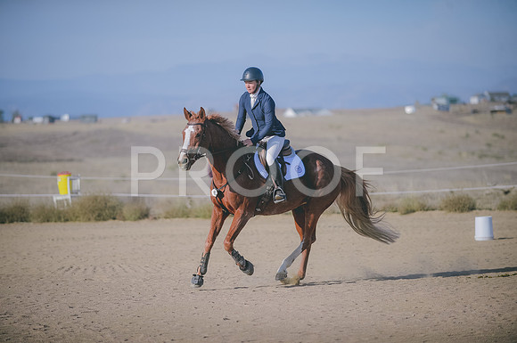 JJS_8399