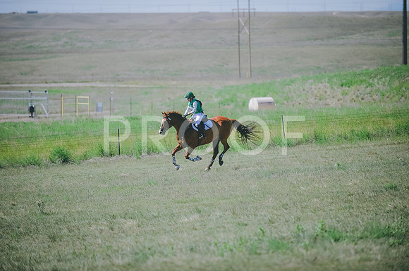 JJS_8017