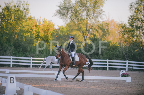 JJS_0119A