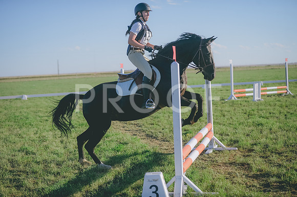 JJS_3746