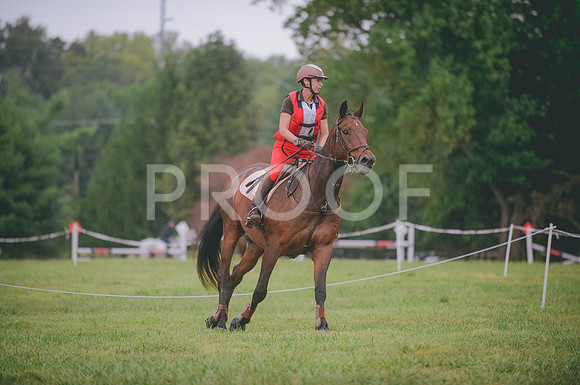 JJS_2077