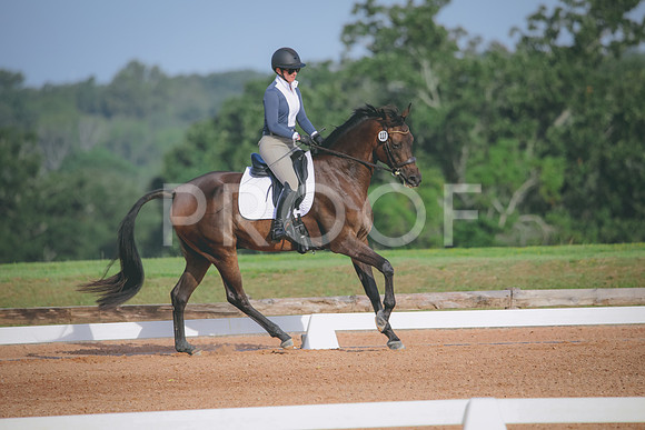 RWP_4397