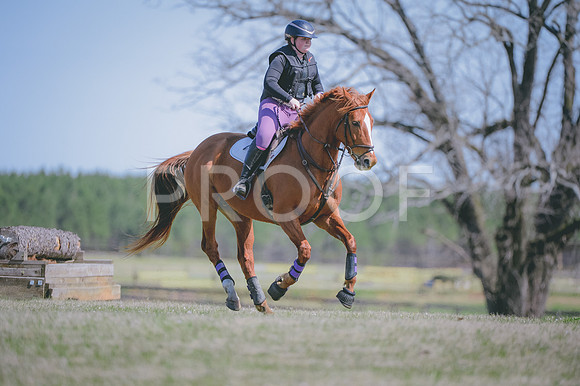 JJS_7013