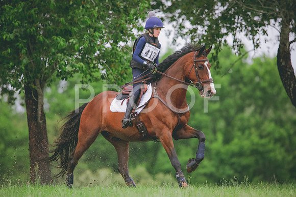 RWP_5433