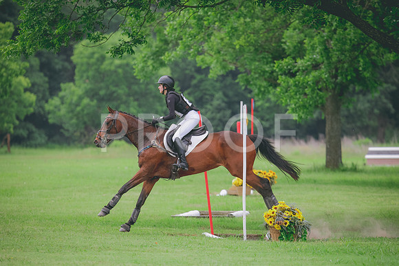 RWP_2428