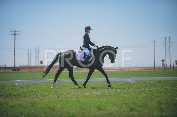 JJS_3542