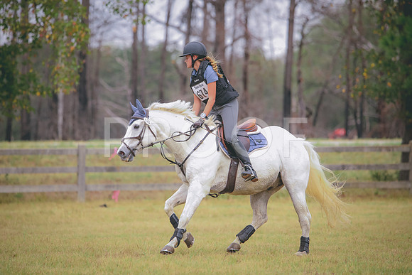 RWP_3466