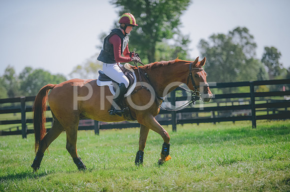 JJS_3787