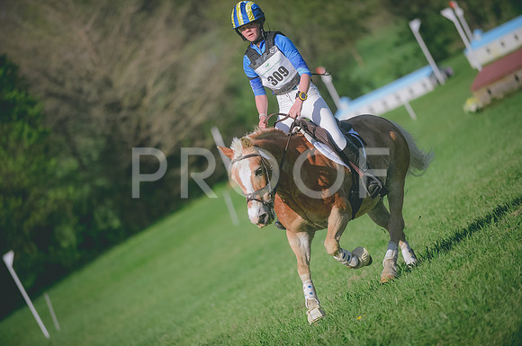 000_1315
