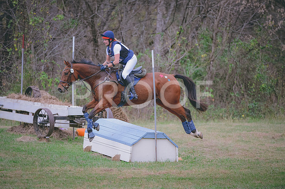 JJS_2201